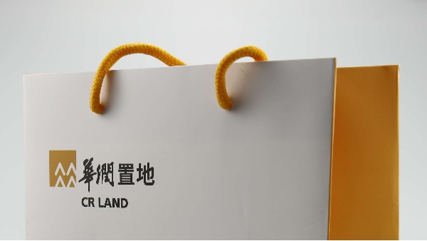 印制手提纸袋