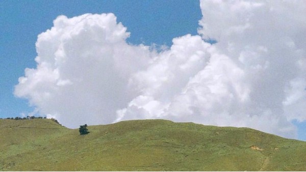 记忆中夏天的味道-古得堡印刷